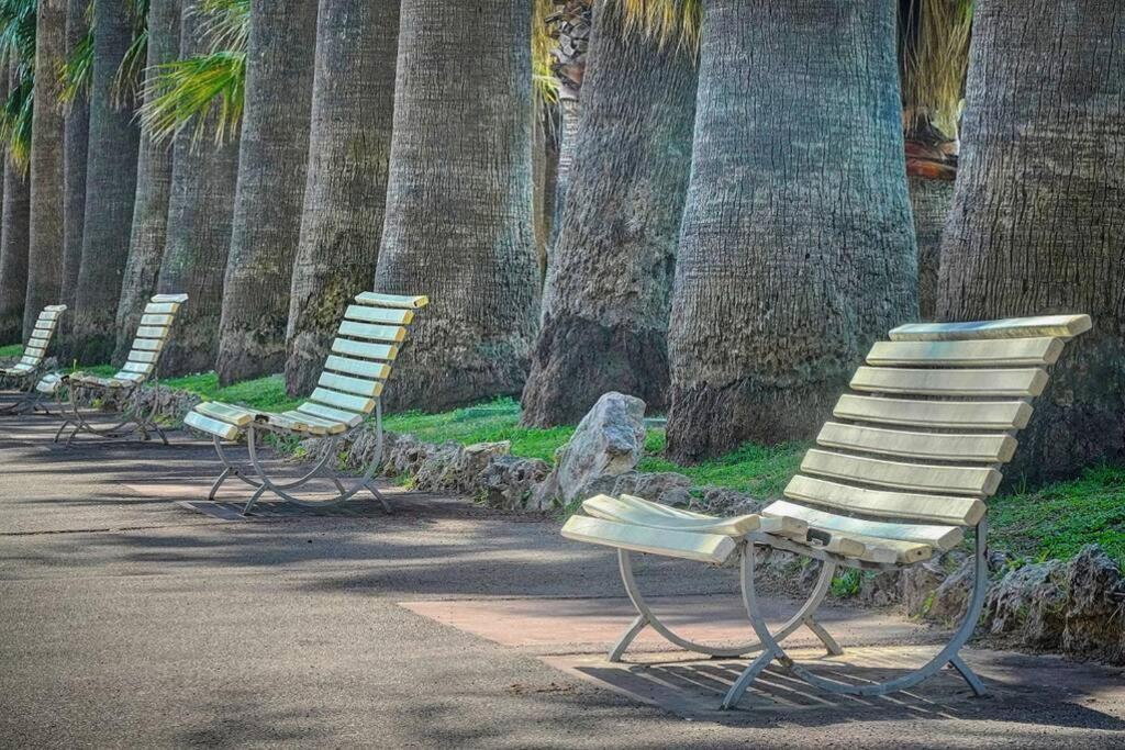Le Palm - 100M Plage - Croisette - Verriere Cote D'Azur Lägenhet Cannes Exteriör bild